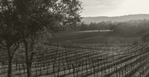 Bundschu Family Vineyards